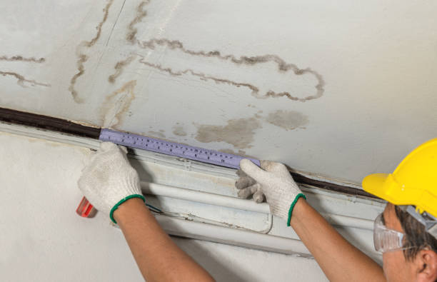Reliable Mold Remediation contractor in Penrose, NC by Water Damage Irwin